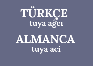 tuya+a%C4%A3c%C4%B1-tuya+aci.png