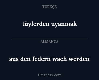 aus den federn wach werden - tüylerden uyanmak