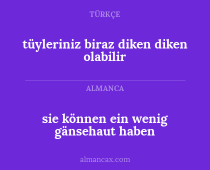 sie können ein wenig gänsehaut haben - tüyleriniz biraz diken diken olabilir