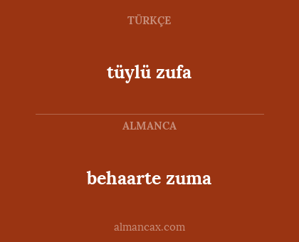 tüylü zufa - behaarte zuma