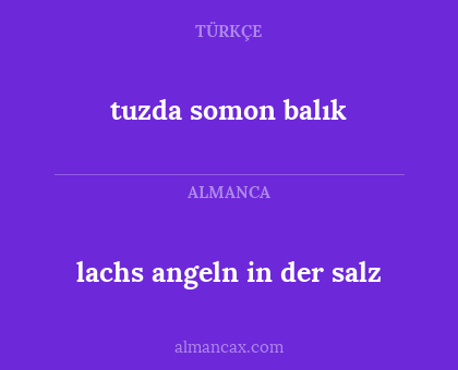 tuzda somon balık - lachs angeln in der salz