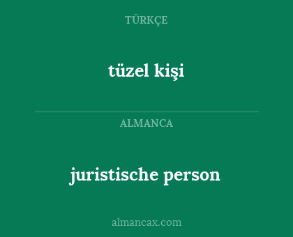 tüzel kişi - juristische person