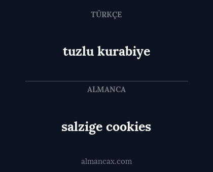 salzige cookies - tuzlu kurabiye