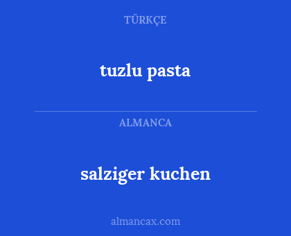 salziger kuchen - tuzlu pasta