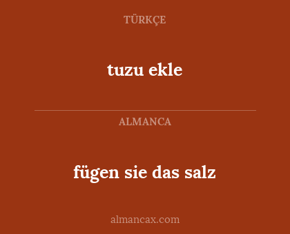 tuzu ekle - fügen sie das salz