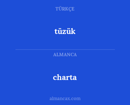 tüzük - charta