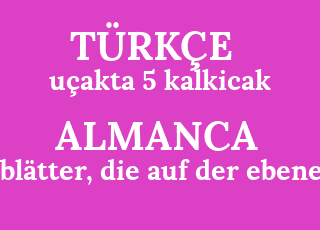 u%C3%A7akta+5+kalkicak-5+bl%C3%A4tter%2C+die+auf+der+ebene.png