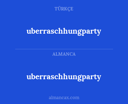 uberraschhungparty - uberraschhungparty