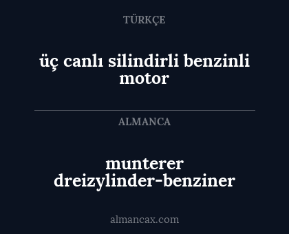 munterer dreizylinder-benziner - üç canlı silindirli benzinli motor