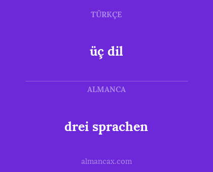 drei sprachen - üç dil