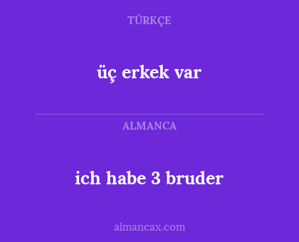 ich habe 3 bruder - üç erkek var