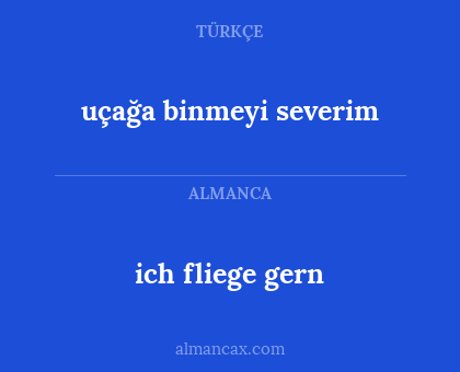 uçağa binmeyi severim - ich fliege gern