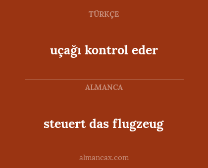 steuert das flugzeug - uçağı kontrol eder