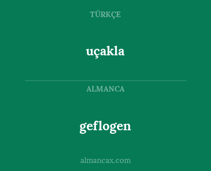 geflogen - uçakla