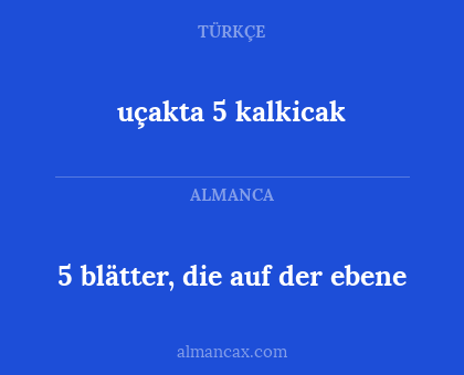 5 blätter, die auf der ebene - uçakta 5 kalkicak