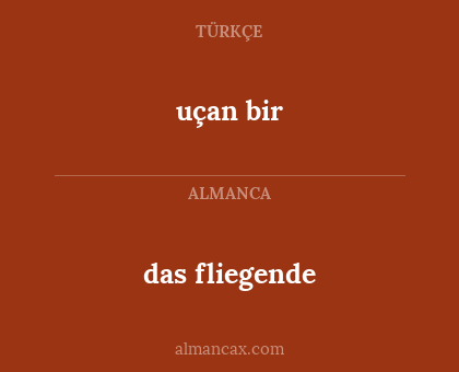 uçan bir - das fliegende