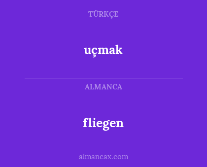 fliegen - uçmak