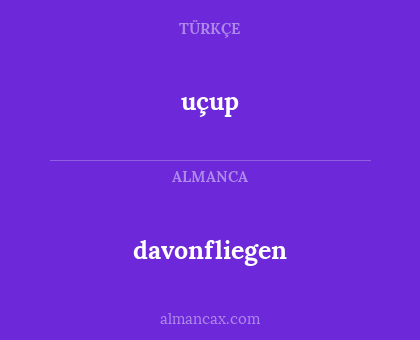 uçup - davonfliegen