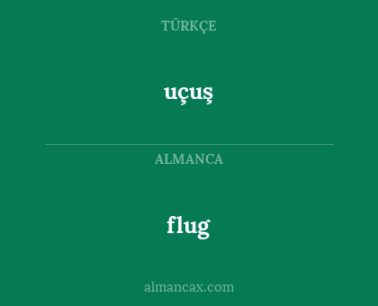 uçuş - flug