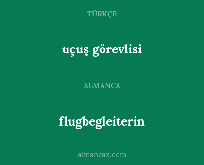 flugbegleiterin - uçuş görevlisi