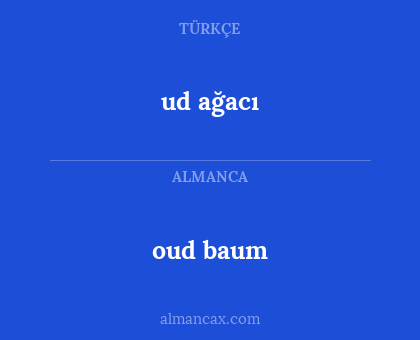 ud ağacı - oud baum