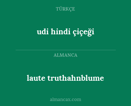 laute truthahnblume - udi hindi çiçeği