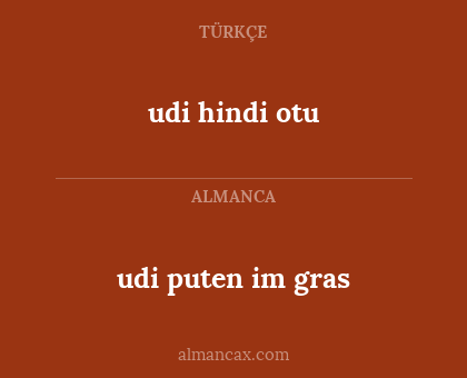 udi puten im gras - udi hindi otu