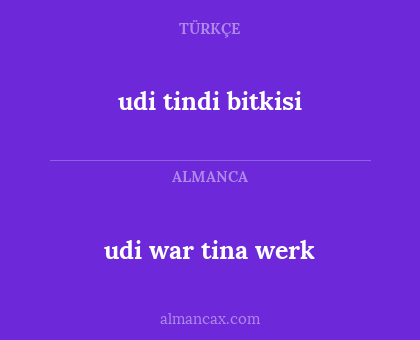 udi war tina werk - udi tindi bitkisi