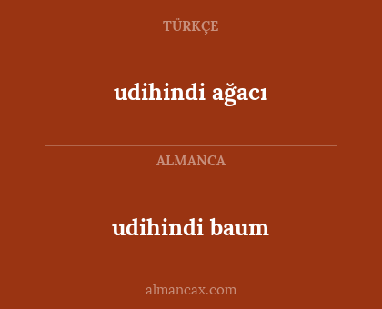 udihindi ağacı - udihindi baum