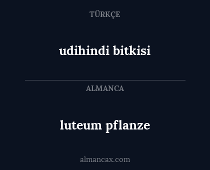 udihindi bitkisi - luteum pflanze