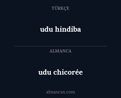 udu chicorée - udu hindiba