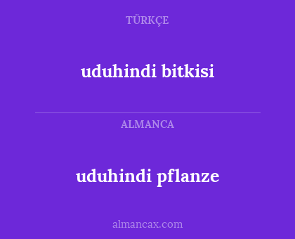 uduhindi bitkisi - uduhindi pflanze