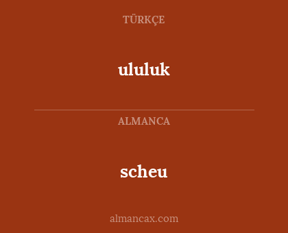 scheu - ululuk