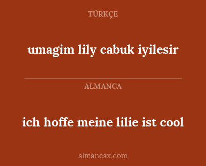 umagim lily cabuk iyilesir - ich hoffe meine lilie ist cool