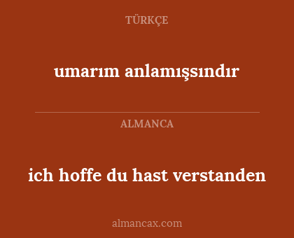 umarım anlamışsındır - ich hoffe du hast verstanden