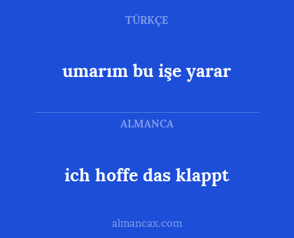 ich hoffe das klappt - umarım bu işe yarar