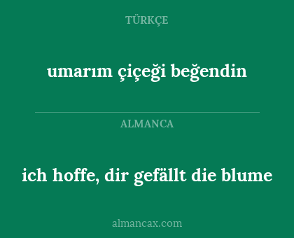 ich hoffe, dir gefällt die blume - umarım çiçeği beğendin