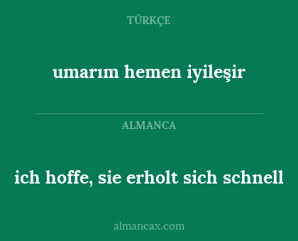 umarım hemen iyileşir - ich hoffe, sie erholt sich schnell