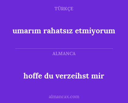 umarım rahatsız etmiyorum - hoffe du verzeihst mir