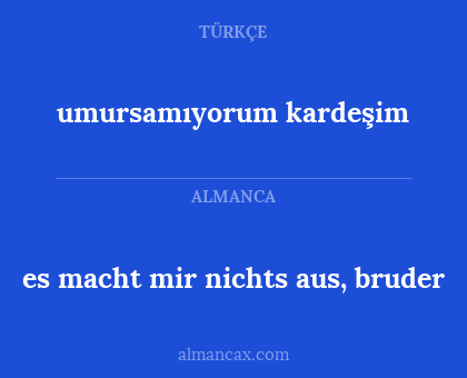 umursamıyorum kardeşim - es macht mir nichts aus, bruder