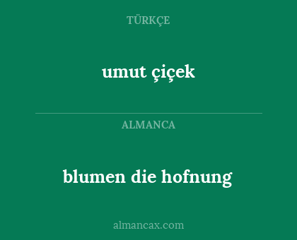 blumen die hofnung - umut çiçek