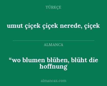 “wo blumen blühen, blüht die hoffnung - umut çiçek çiçek nerede, çiçek