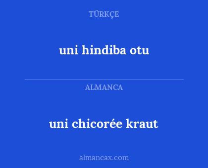 uni chicorée kraut - uni hindiba otu