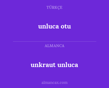 unluca otu - unkraut unluca