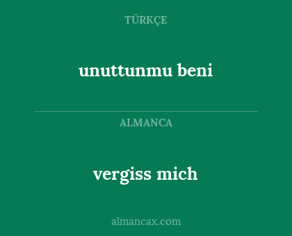 vergiss mich - unuttunmu beni