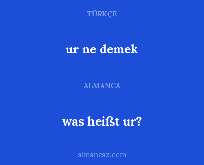 ur ne demek - was heißt ur?
