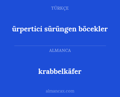 krabbelkäfer - ürpertici sürüngen böcekler