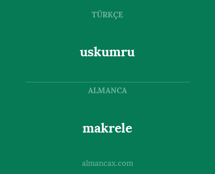 makrele - uskumru