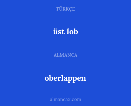 üst lob - oberlappen