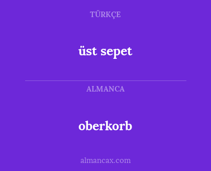 oberkorb - üst sepet